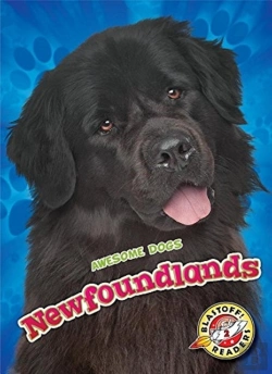 Bertrand.pt - Newfoundlands