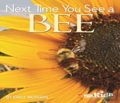 Next Time You See A Bee