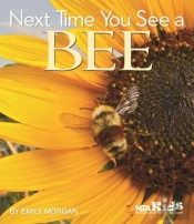 Next Time You See A Bee