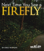 Next Time You See A Firefly