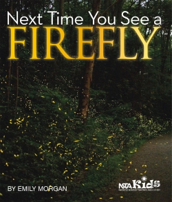 Bertrand.pt - Next Time You See A Firefly