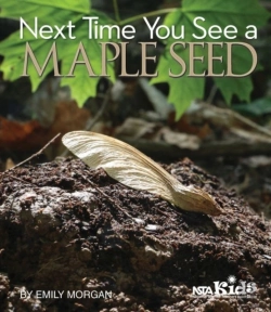 Bertrand.pt - Next Time You See A Maple Seed