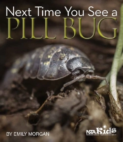Bertrand.pt - Next Time You See A Pill Bug