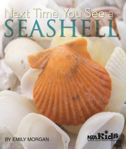 Bertrand.pt - Next Time You See A Seashell