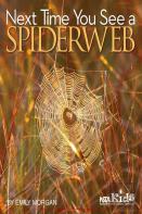 Next Time You See A Spiderweb