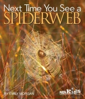 Next Time You See A Spiderweb