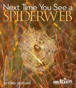 Bertrand.pt - Next Time You See A Spiderweb