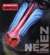 Nez A Nez