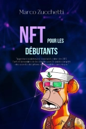 Nft Pour Les Débutants