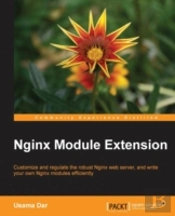 Nginx Module Extension