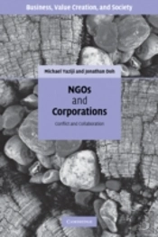 Ngos And Corporations