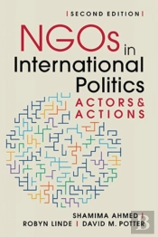 Ngos In International Politics