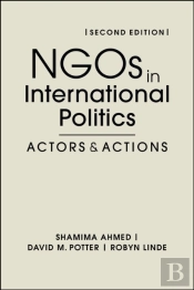 Ngos In International Politics
