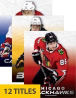 Nhl Teams (Set Of 12)