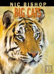 Nic Bishop Big Cats
