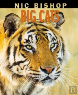 Bertrand.pt - Nic Bishop Big Cats