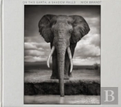 Nick Brandt