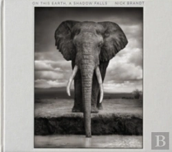 Bertrand.pt - Nick Brandt