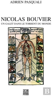 Nicolas Bouvier ; Un Galet Dans Le Torrent Du Monde