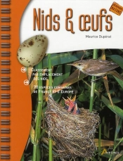 Nids Et Oeufs