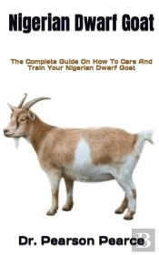 Nigerian Dwarf Goat