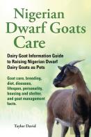 Nigerian Dwarf Goats Care