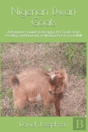 Nigerian Dwarf Goats