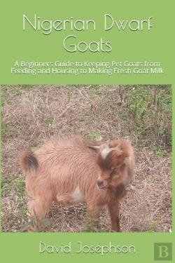Bertrand.pt - Nigerian Dwarf Goats