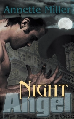 Bertrand.pt - Night Angel