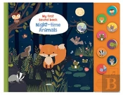Night Animals