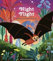 Night Flight