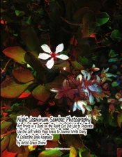 Night Jasminum Sambac Photography  Art Prints In A Book
