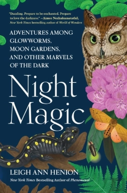 Bertrand.pt - Night Magic
