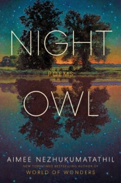 Night Owl