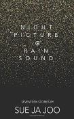 Night Picture Of Rain Sound