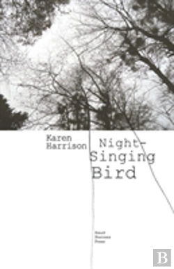Bertrand.pt - Night-Singing Bird