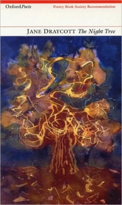 Bertrand.pt - Night Tree