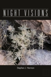 Night Visions