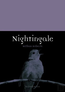 Bertrand.pt - Nightingale