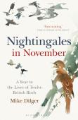 Nightingales In November