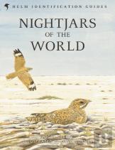 Nightjars Of The World