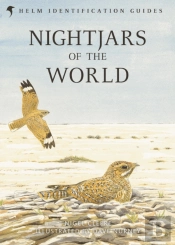 Nightjars Of The World