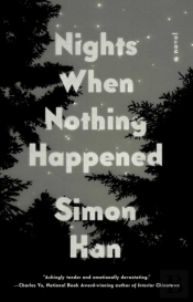Nights When Nothing Happened