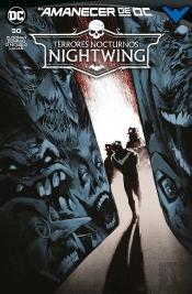 Nightwing 30