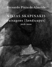 Nikias Skapinakis - Paisagens | Landscapes (2018-2020)