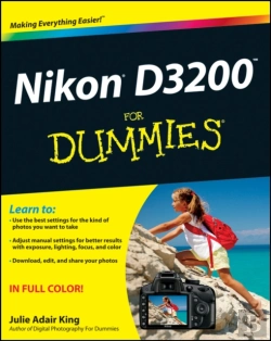 Bertrand.pt - Nikon D3200 For Dummies