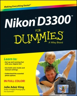 Bertrand.pt - Nikon D3300 For Dummies