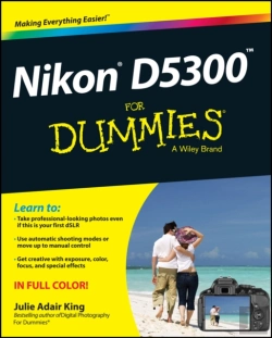 Bertrand.pt - Nikon D5300 For Dummies