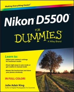Bertrand.pt - Nikon D5500 For Dummies