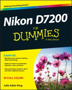 Bertrand.pt - Nikon D7200 For Dummies
